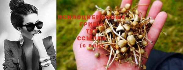 мяу мяу кристалл Гусиноозёрск